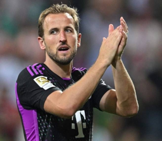 体育生态系 体育生态系