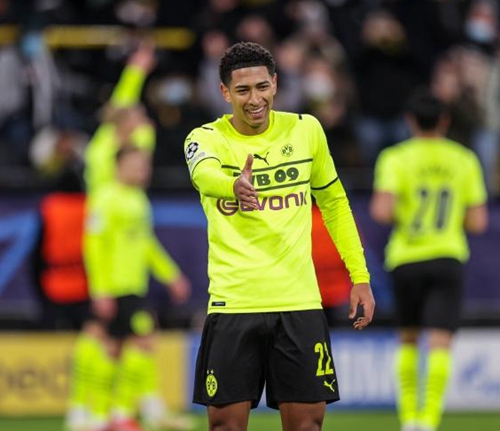 力的哈维 力的哈维