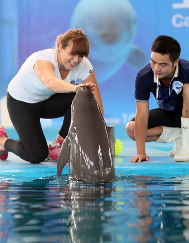 贴速不领滑 贴速不领滑